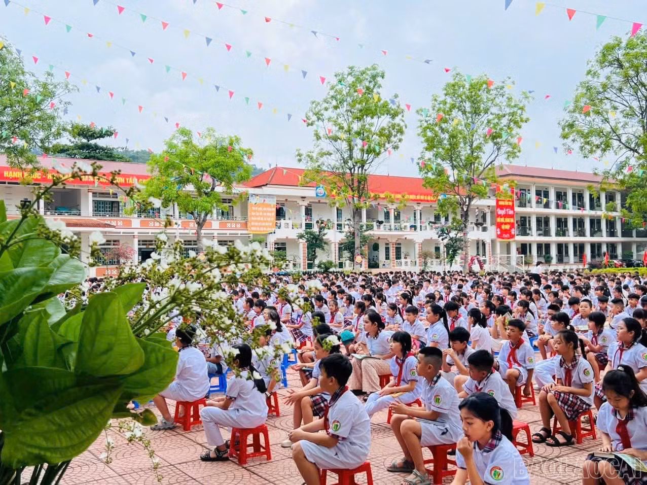 baolaocai-br_z6626941950159-01b34ea2fa8557eac6bf76ab4fc125bf.jpg