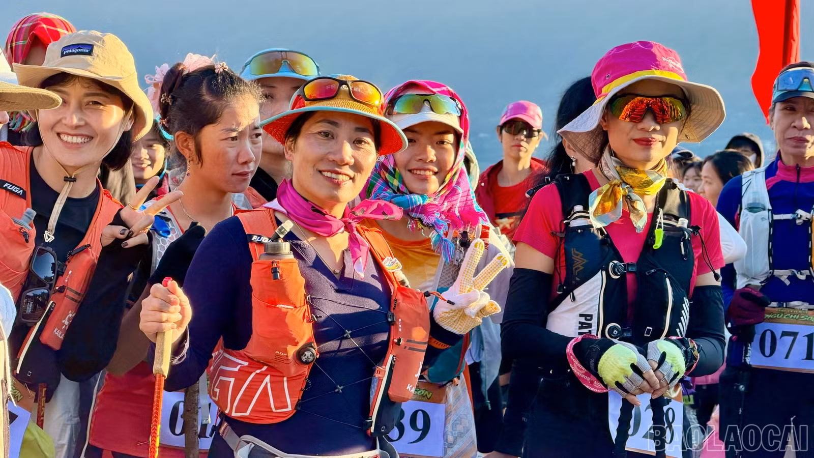 baolaocai-br_1791597229024-1990624821983247676-4362648308235759895-590ed74746de61808f7bab1d58c1539a.jpg