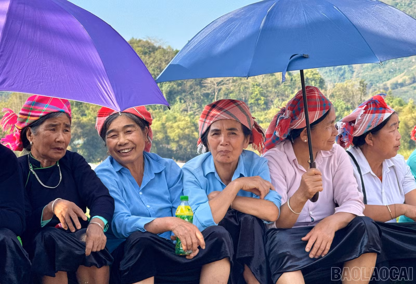 baolaocai-br_z7570739461654-1f68074a473c753c7d858e0cb5ddde8d.jpg