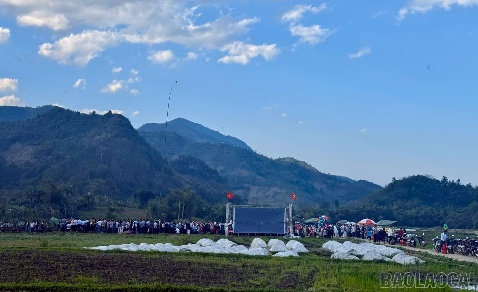 baolaocai-br_z7570751949436-ab4595517cf893a27ecd4b6255efe4a5.jpg