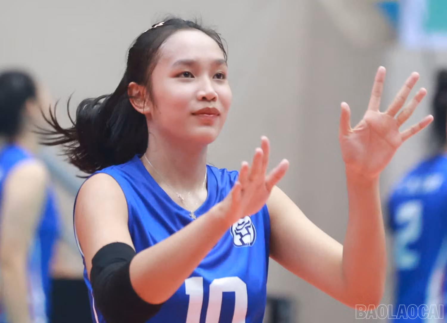 baolaocai-br_z6038780355714-f463878dbca84ca66d89e980dd8d2e74.jpg