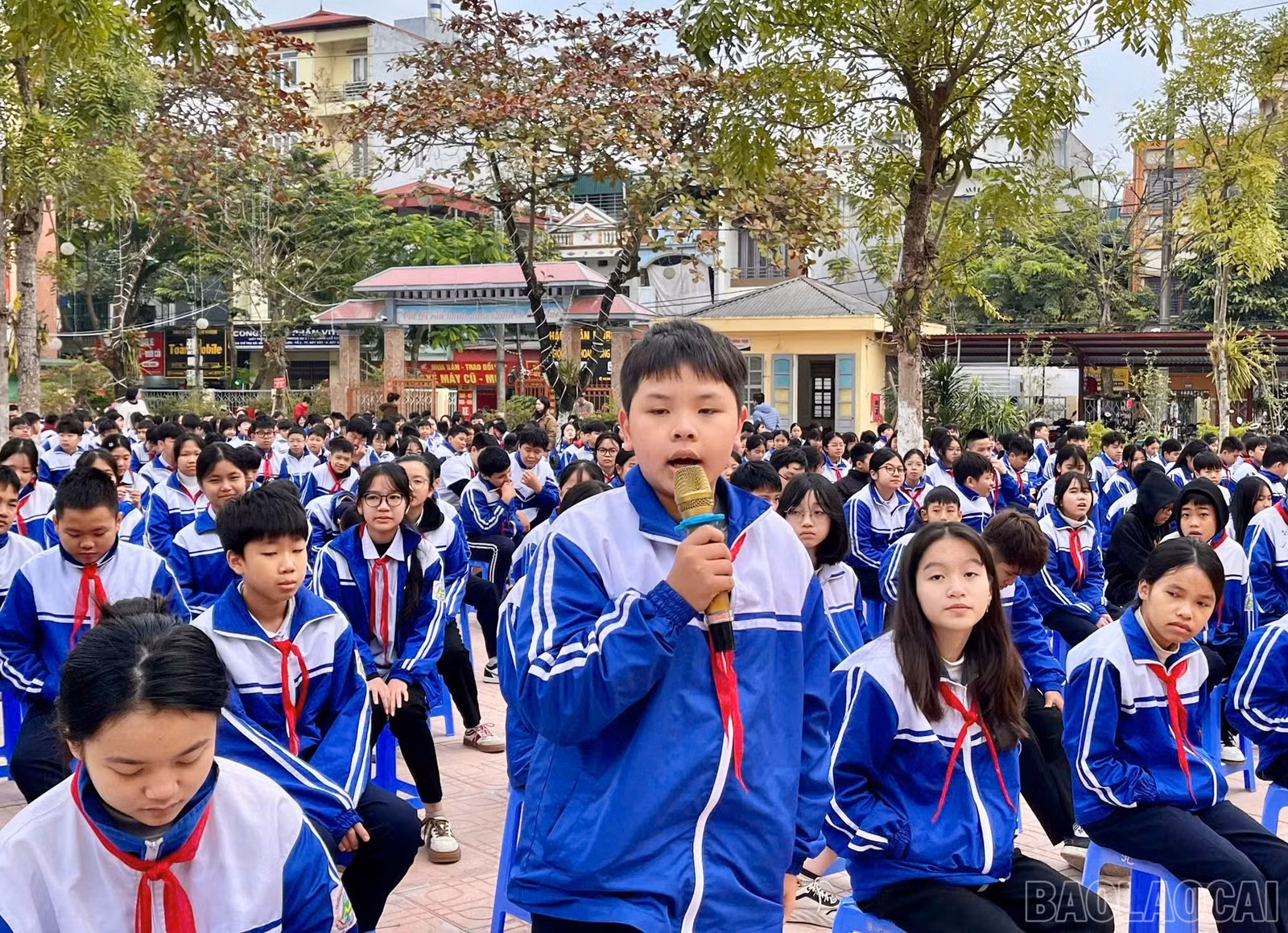 baolaocai-br_z7282403756061-fdb3cee2424ab7385c2de15633073768.jpg