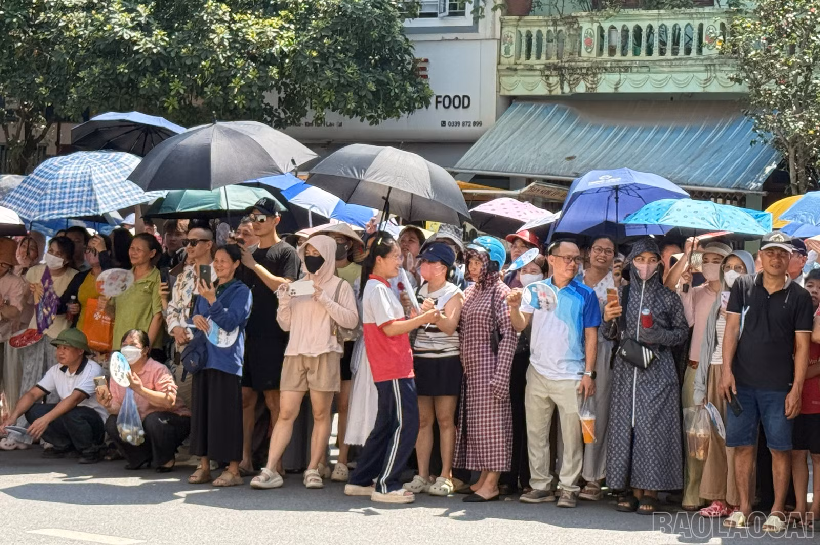 baolaocai-br_1779878716789-1990624821983247676-4362648308235759895-6ebc6c56a17292dffc024bc2cb8d1f3e.jpg