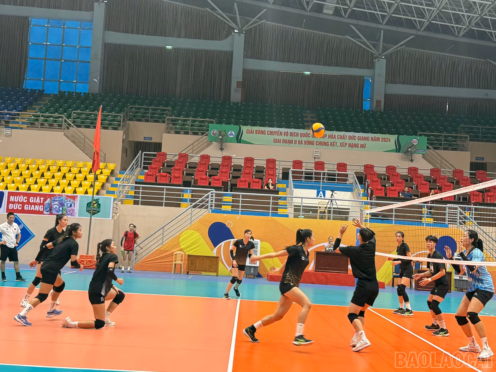 baolaocai-br_z6002961693587-bafa713c51af7044a5a3dd99ef66f809.jpg