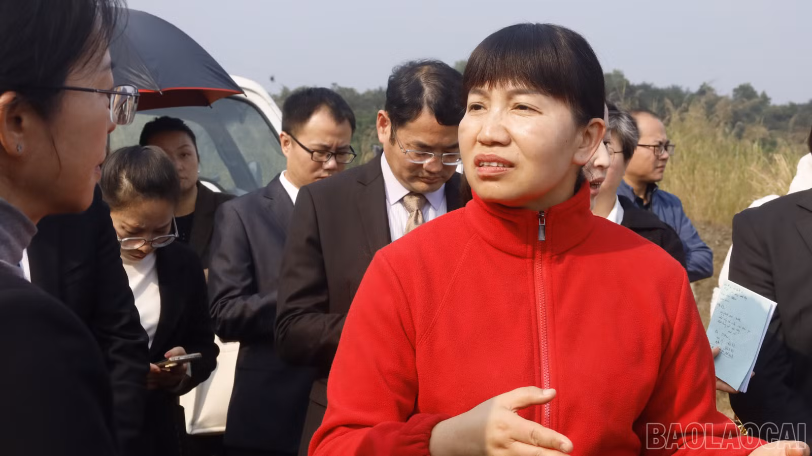 baolaocai-br_mg-9056.jpg