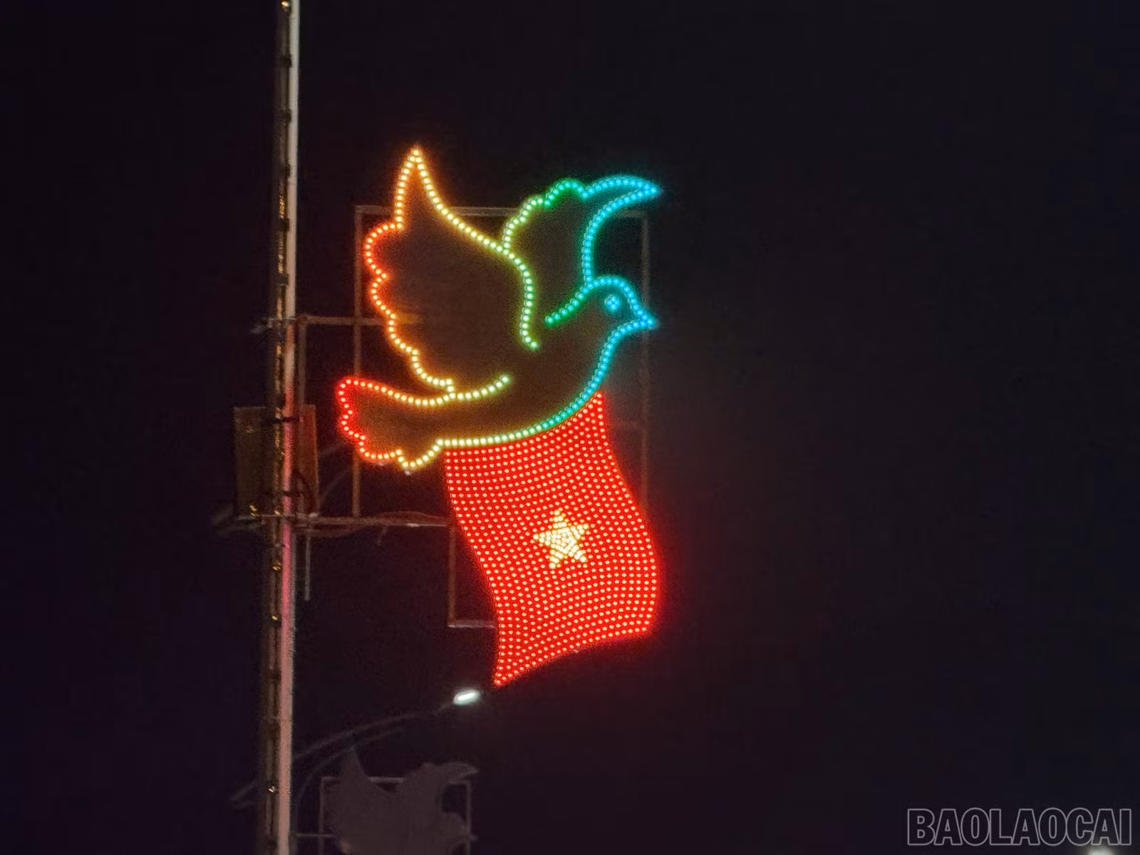 baolaocai-br_z6231531858802-3ceeb4945d766805128678aa85d8644d.jpg