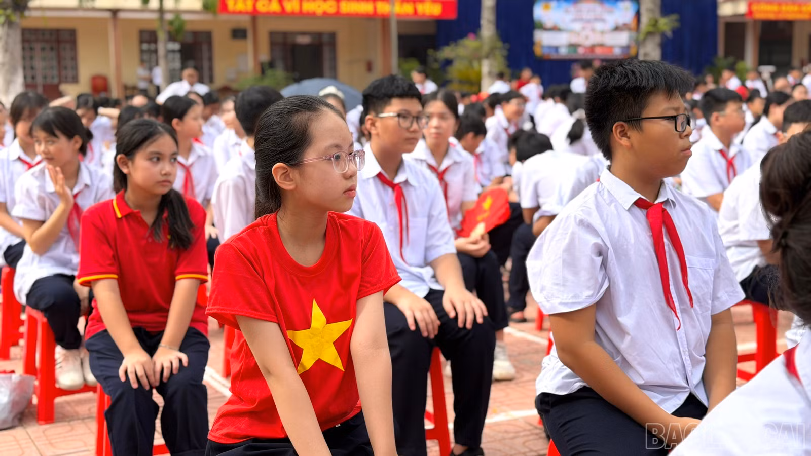 baolaocai-br_1787895510673-1990624821983247676-4362648308235759895-a3480c2e1158b6735b1046fadc1af133.jpg