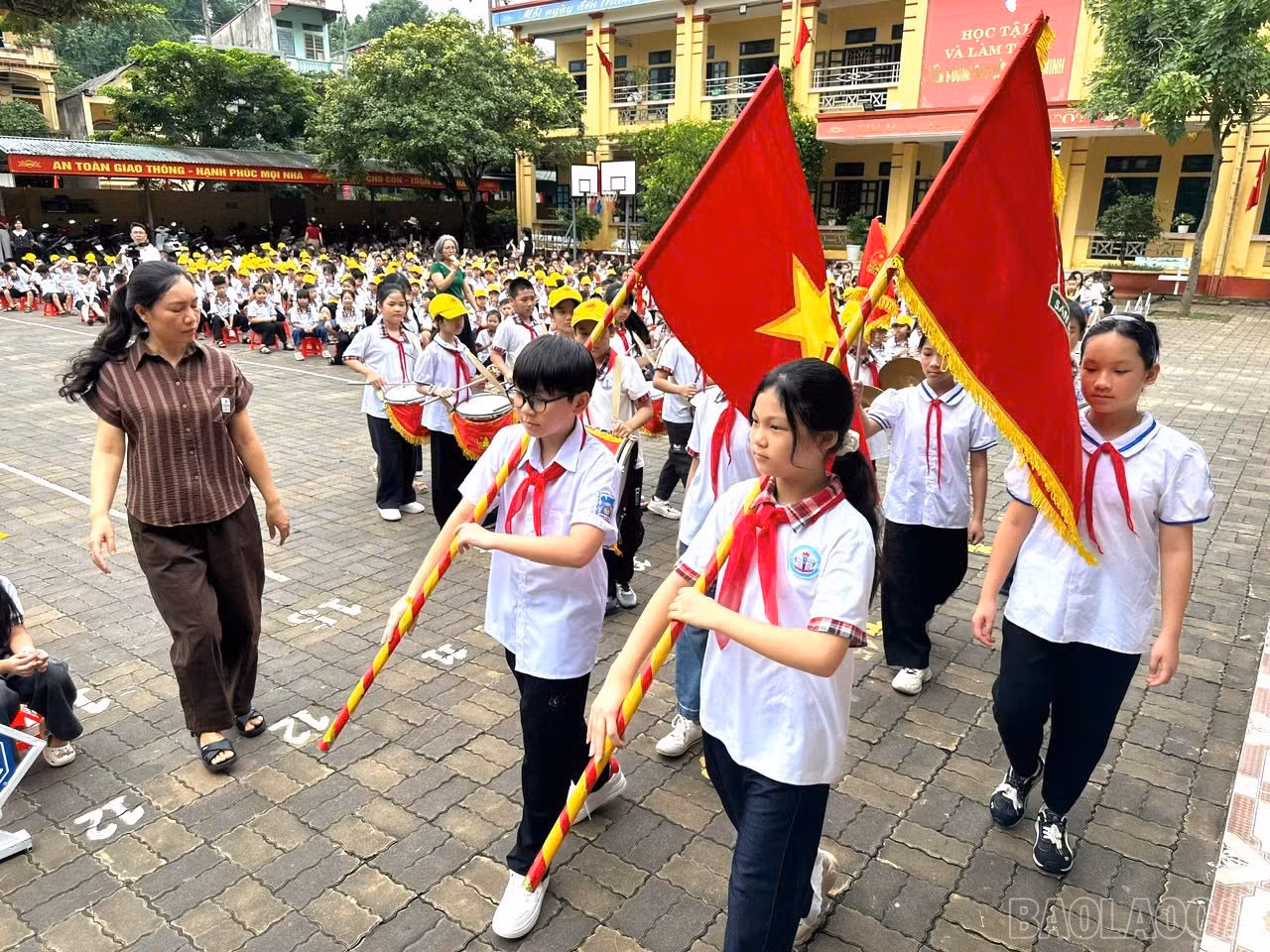 baolaocai-br_1787895783033-1990624821983247676-4362648308235759895-a02d3ef983a93c71150b38a4541640de.jpg