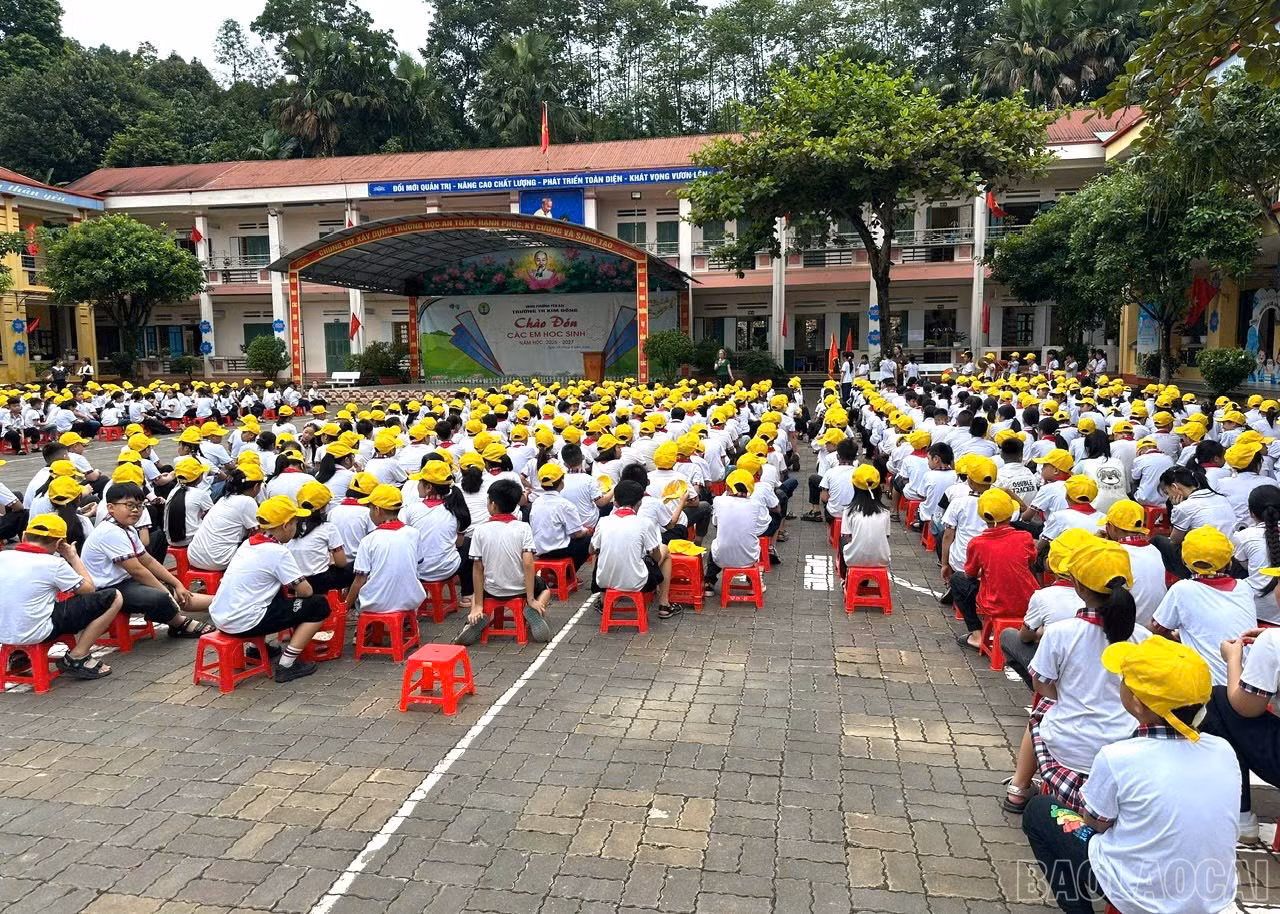 baolaocai-br_1787895782969-1990624821983247676-4362648308235759895-13937909c013dabfb73cb606754db682.jpg