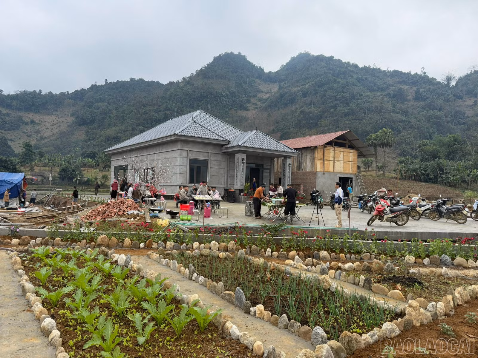 baolaocai-br_z7554876763733-1c726013bd0ee8eb38815741aa1b8a78.jpg