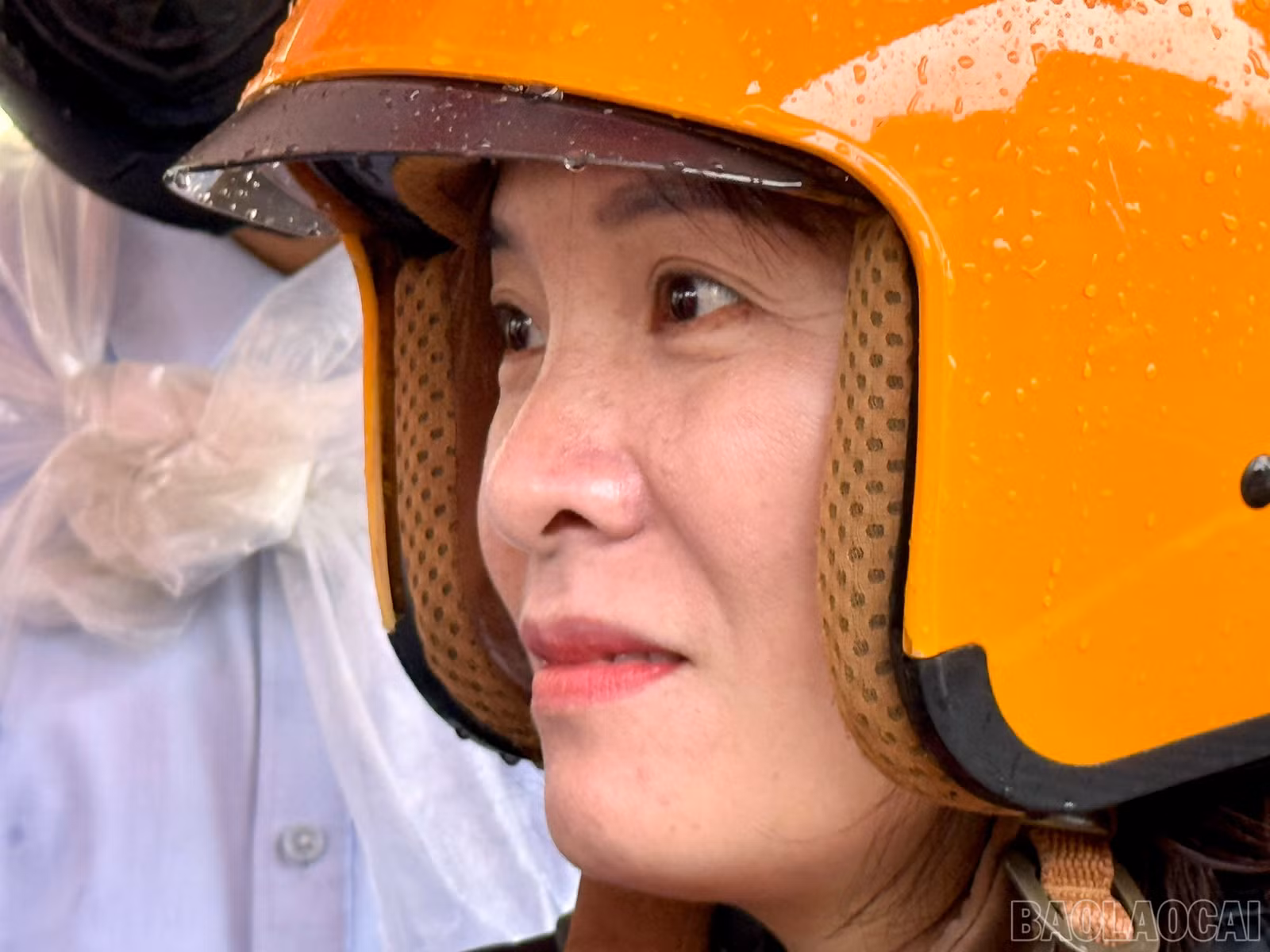 baolaocai-br_z6747791639748-f8789d4ee98868d967335f5c57a5ef52.jpg
