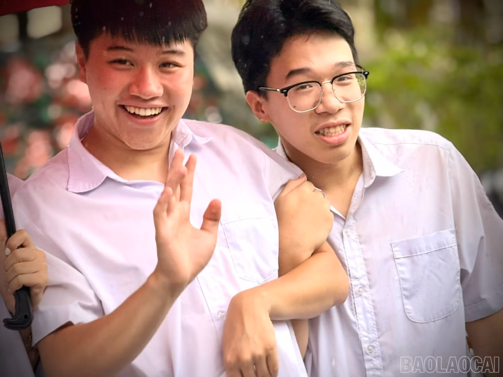 baolaocai-br_z6746851178537-41f7fba960bf1e01050b457d9fb261f0.jpg