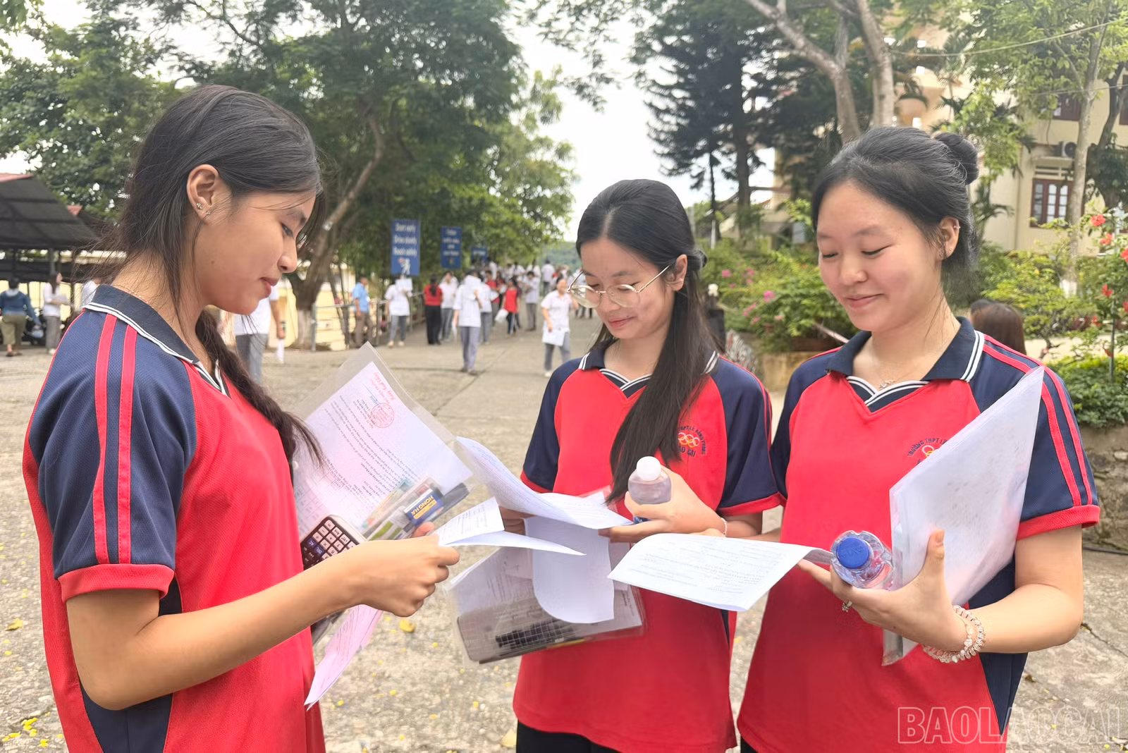 baolaocai-br_1781174906567-1990624821983247676-4362648308235759895-27bb968e30b71dcf96b7b590569d4e4d.jpg