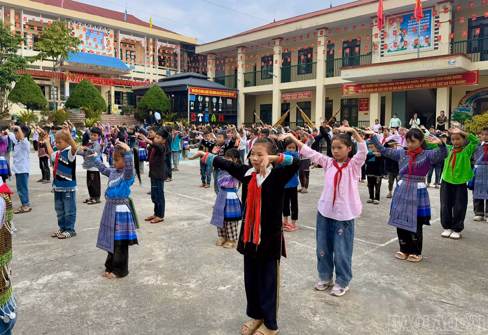 baolaocai-br_z7175040877298-0d74198b0ce9941407cbd781bf6ed927.jpg