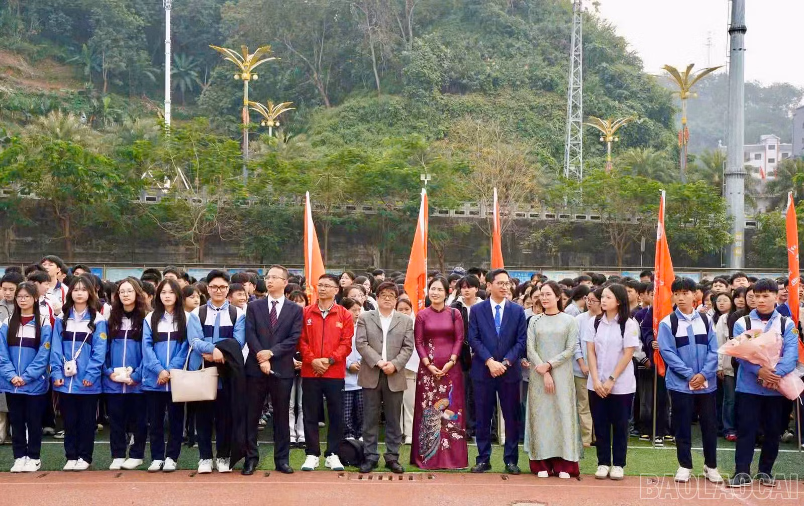 baolaocai-br_z7385730304067-6152585c8539ff6e10a634f5c5b67e0a.jpg