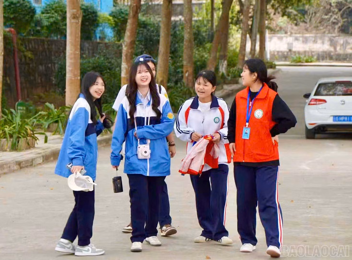 baolaocai-br_z7385730293185-8ff44fde7f29228eb38bfd48d740e342.jpg