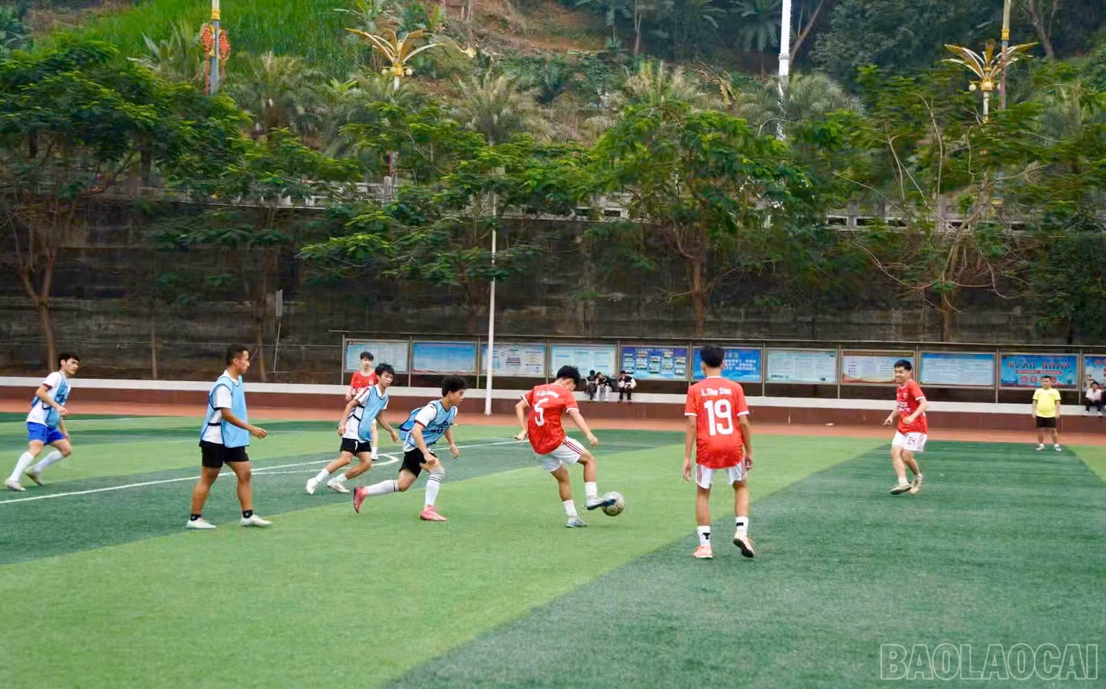 baolaocai-br_z7385730294882-37cf68bf1dea2c0c8fb28f208352a903.jpg
