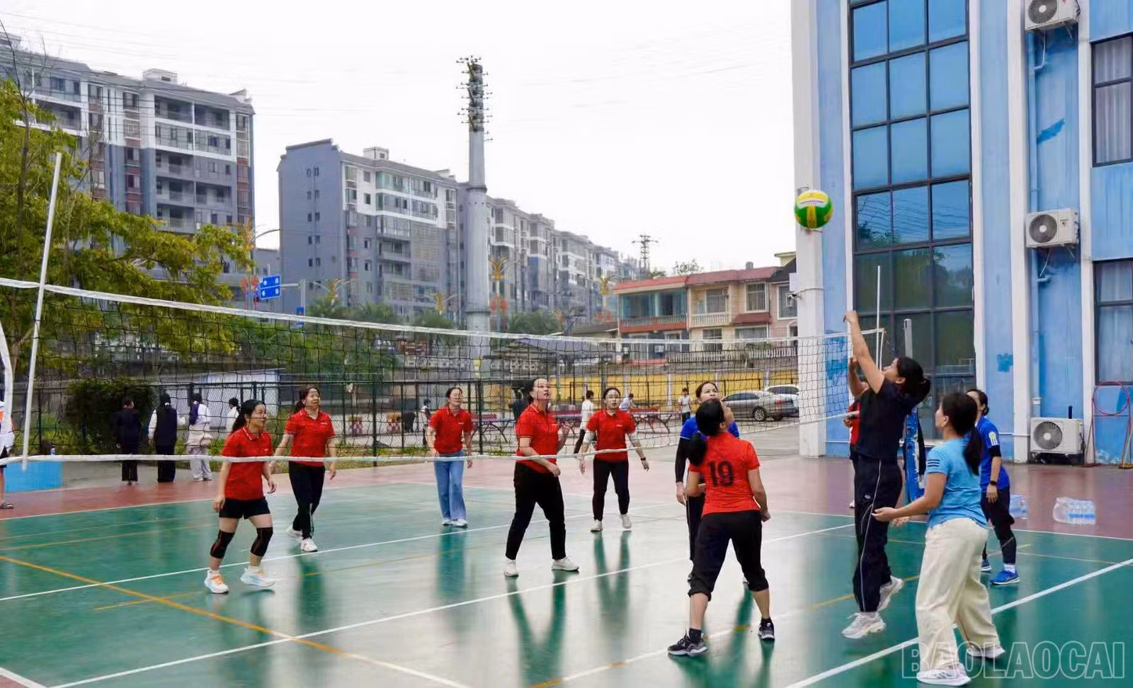 baolaocai-br_z7385730287495-d739aebc1ef76c963eaee3eaf94e975d.jpg