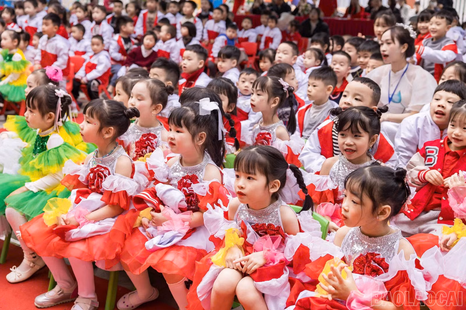 baolaocai-br_z7385504703855-060532021e4bb089457d30ac798b8783.jpg