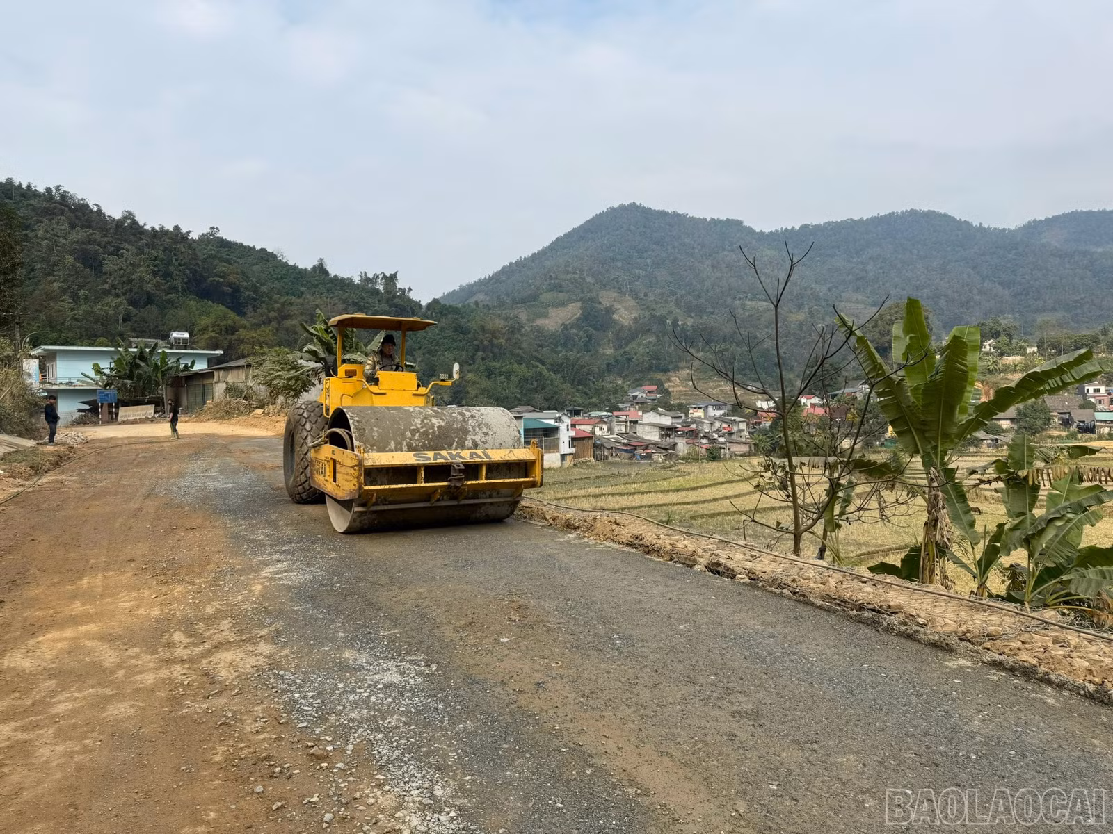 baolaocai-br_z7718865095295-50b5a280a6c6f50c762e7d2bd06df356.jpg