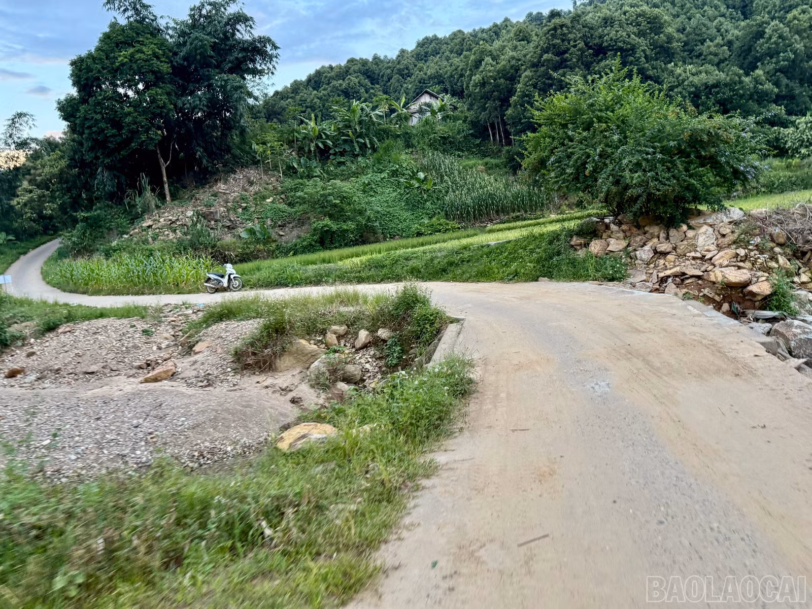 baolaocai-br_z7567775665450-b450163aa7ac9692cdbac5e671070490.jpg
