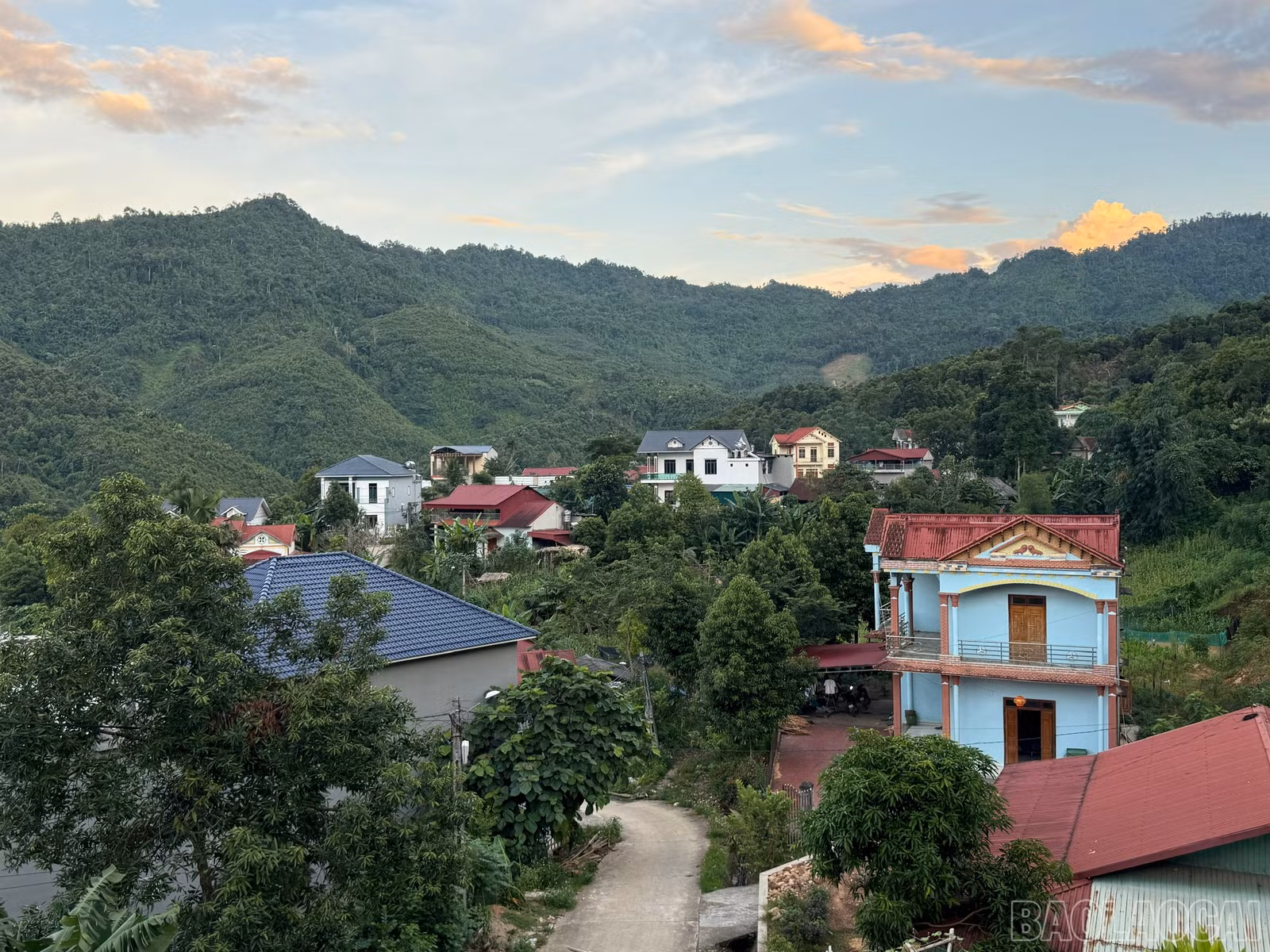 baolaocai-br_z7567777228589-895524f7b2c42f479f9738eb740b16e1.jpg