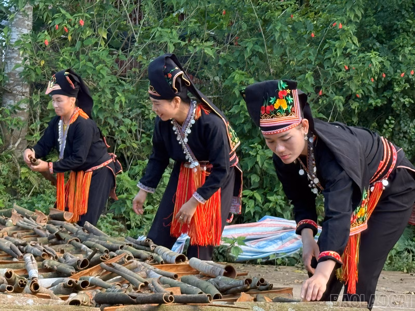 baolaocai-br_z7567769571872-f451110563ac444de632cbdf5f203f7c.jpg