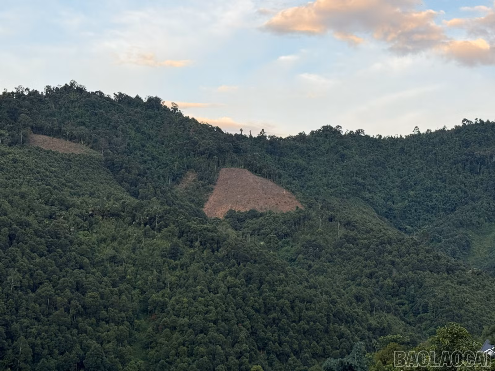 baolaocai-br_z7567779271075-0a8a311815daf1539c53b60e6d0929a0.jpg