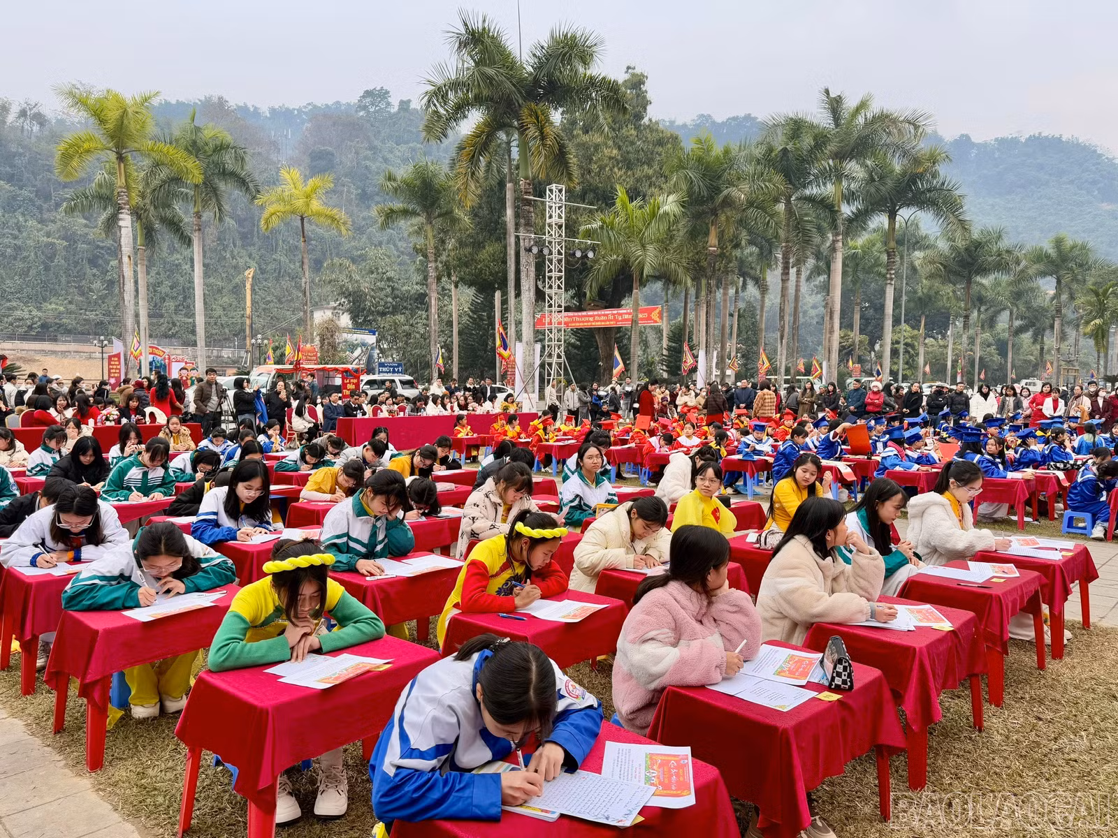 baolaocai-br_z6304291516400-dedfdbbe440afac903283824c36ba7d6.jpg