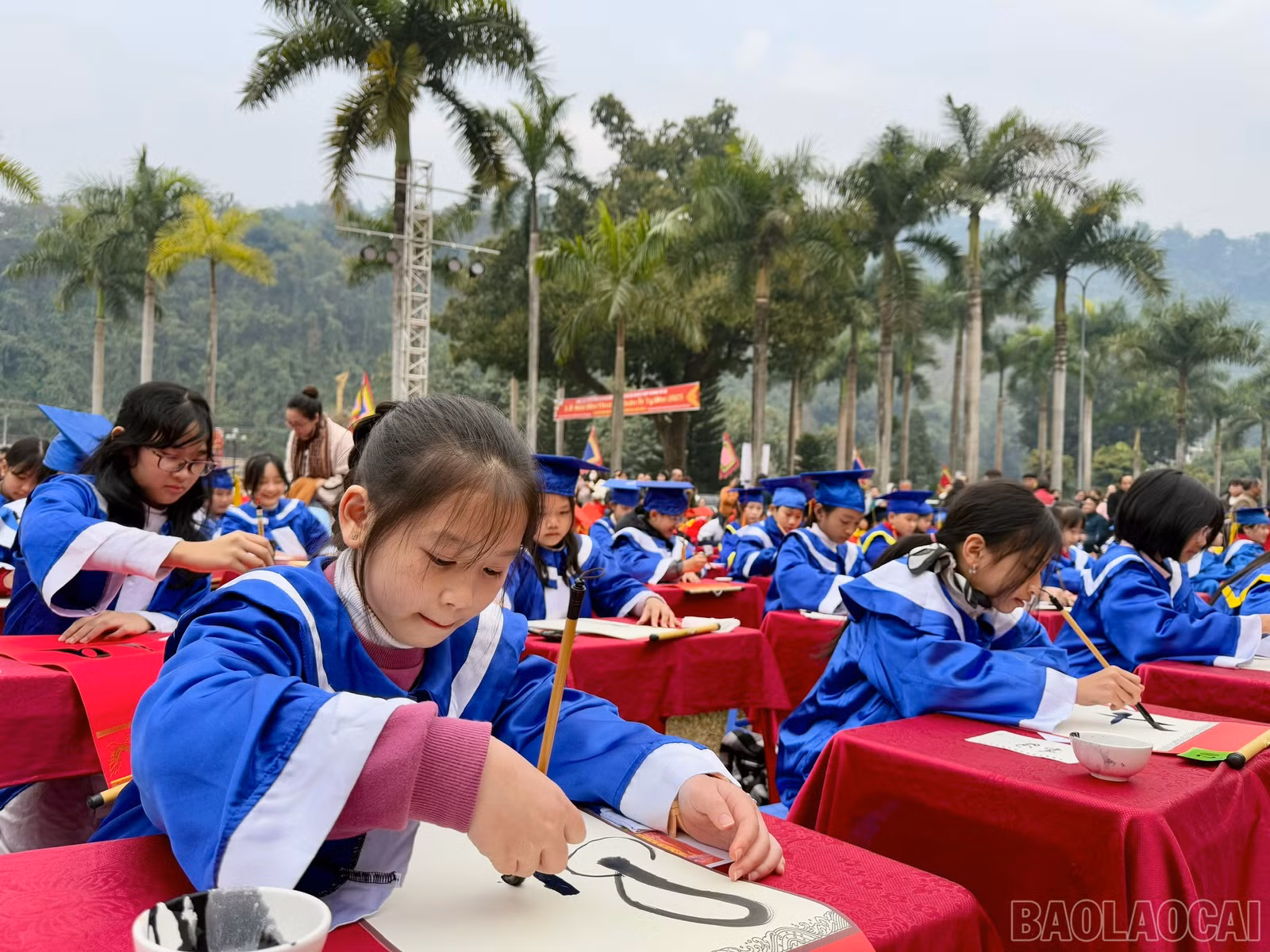 baolaocai-br_z6304278989097-3e809c9fb269b1f1412cd0f555779679.jpg