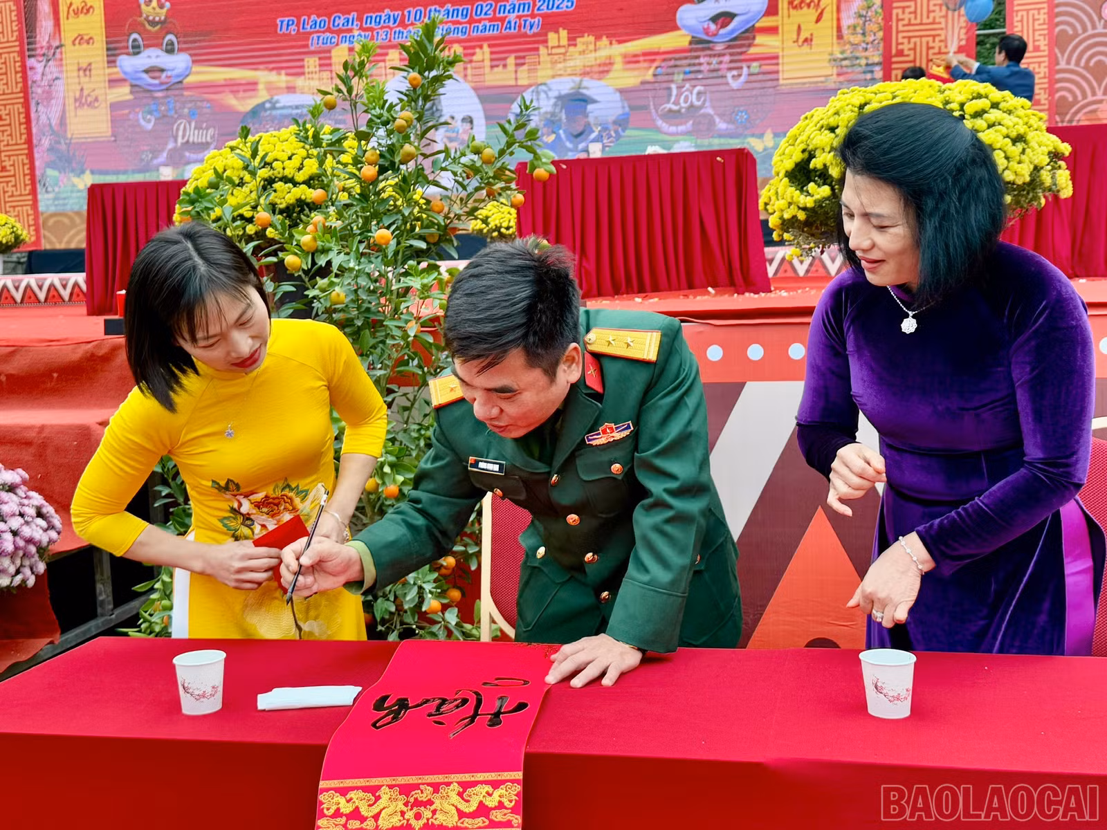 baolaocai-br_z6304282808119-1e793becc7a4993bc0d107ad41468a6e.jpg