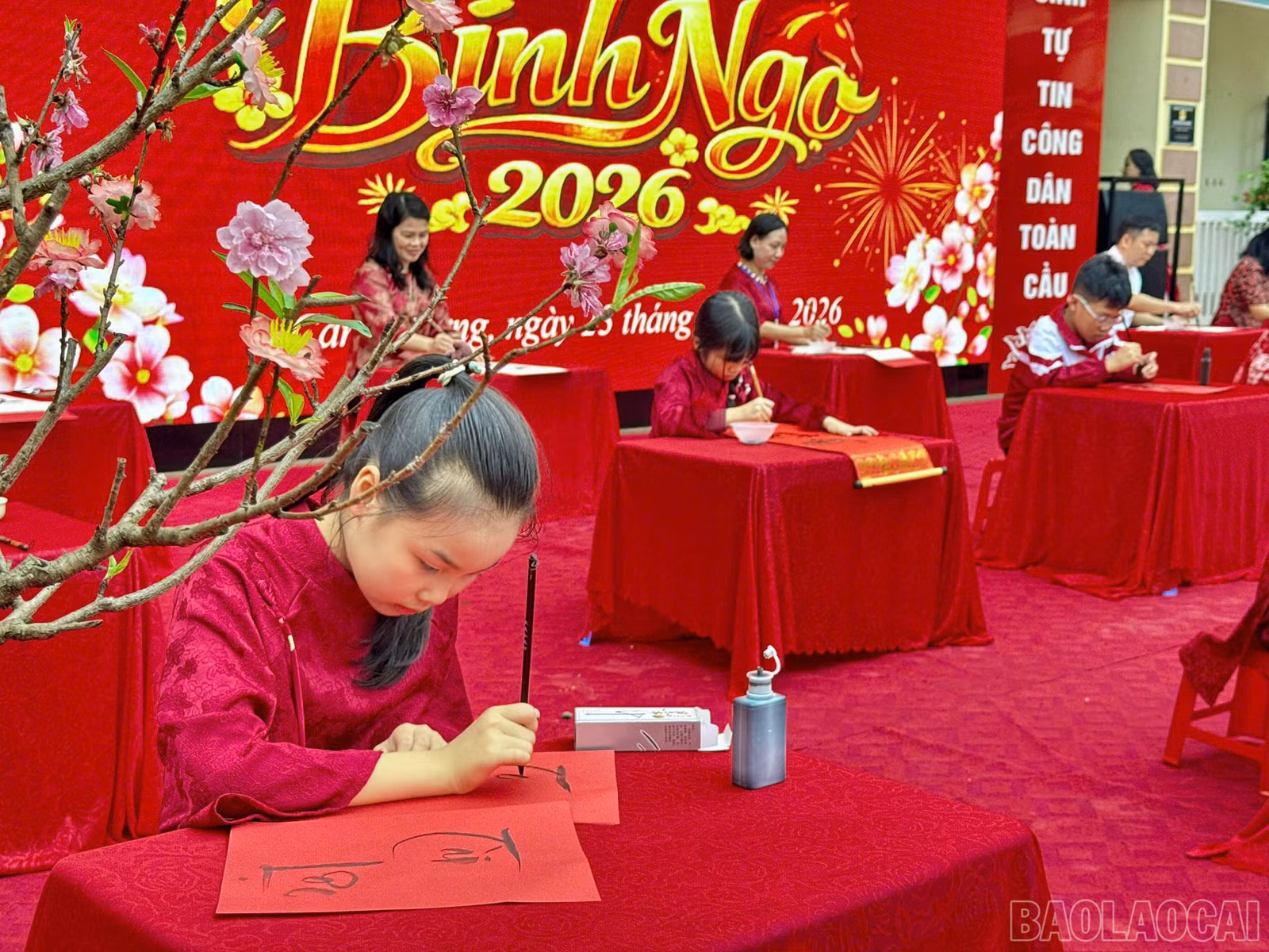 baolaocai-br_z7556941704055-2f12365126e68281b0c288c3dac44bfb.jpg