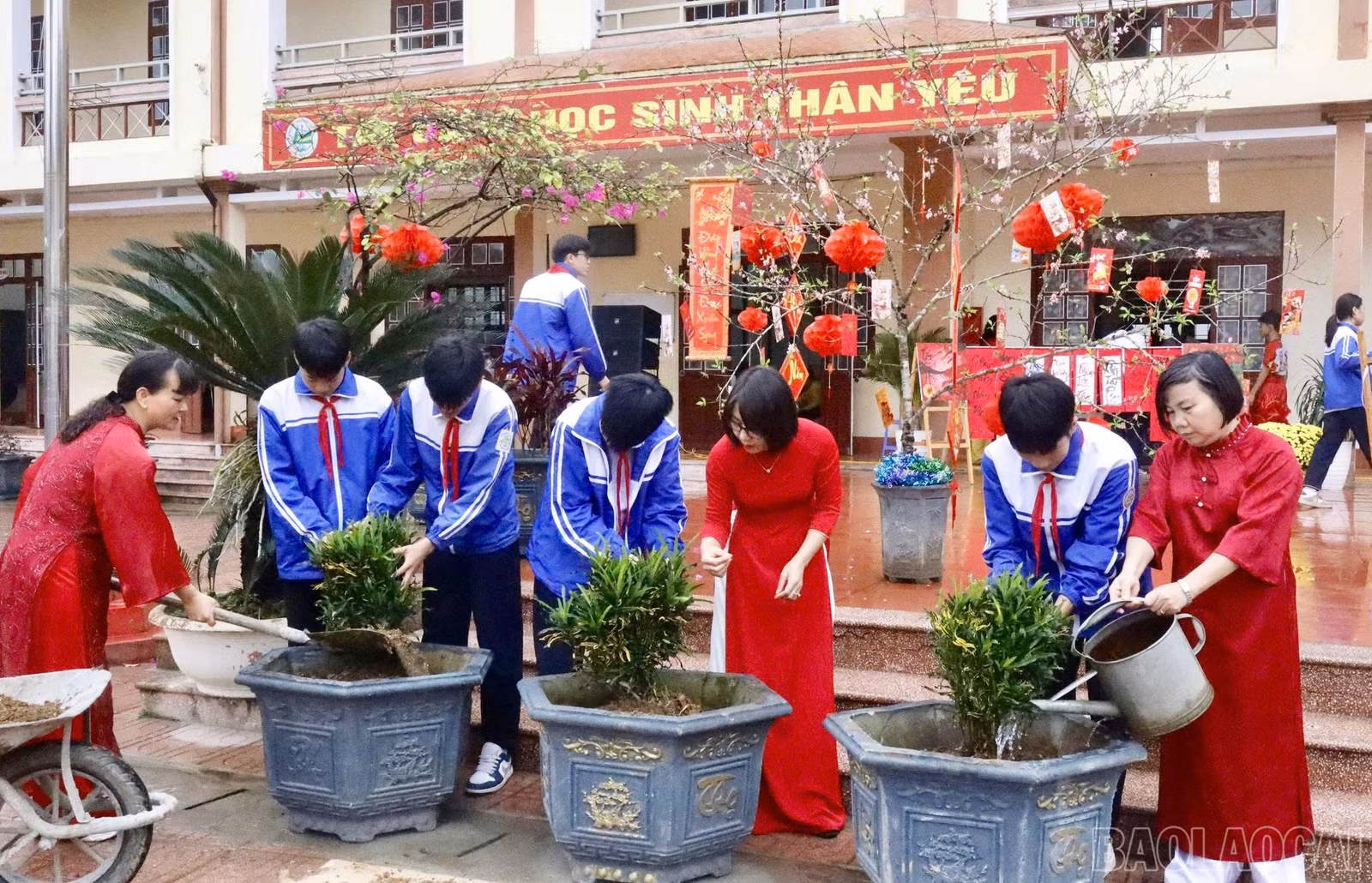 baolaocai-br_z7556936659972-ea460db4159a48007b8c874bf7531bac.jpg