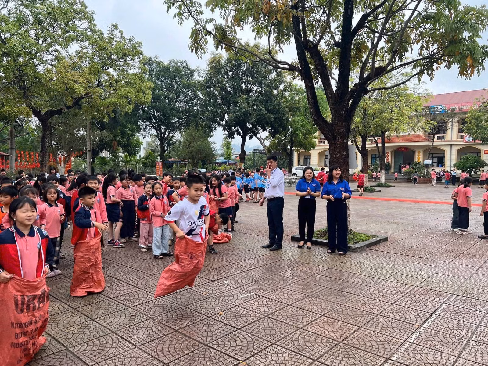 baolaocai-br_z7661421033406-b148d3bc1e5178e568c914e404931873.jpg