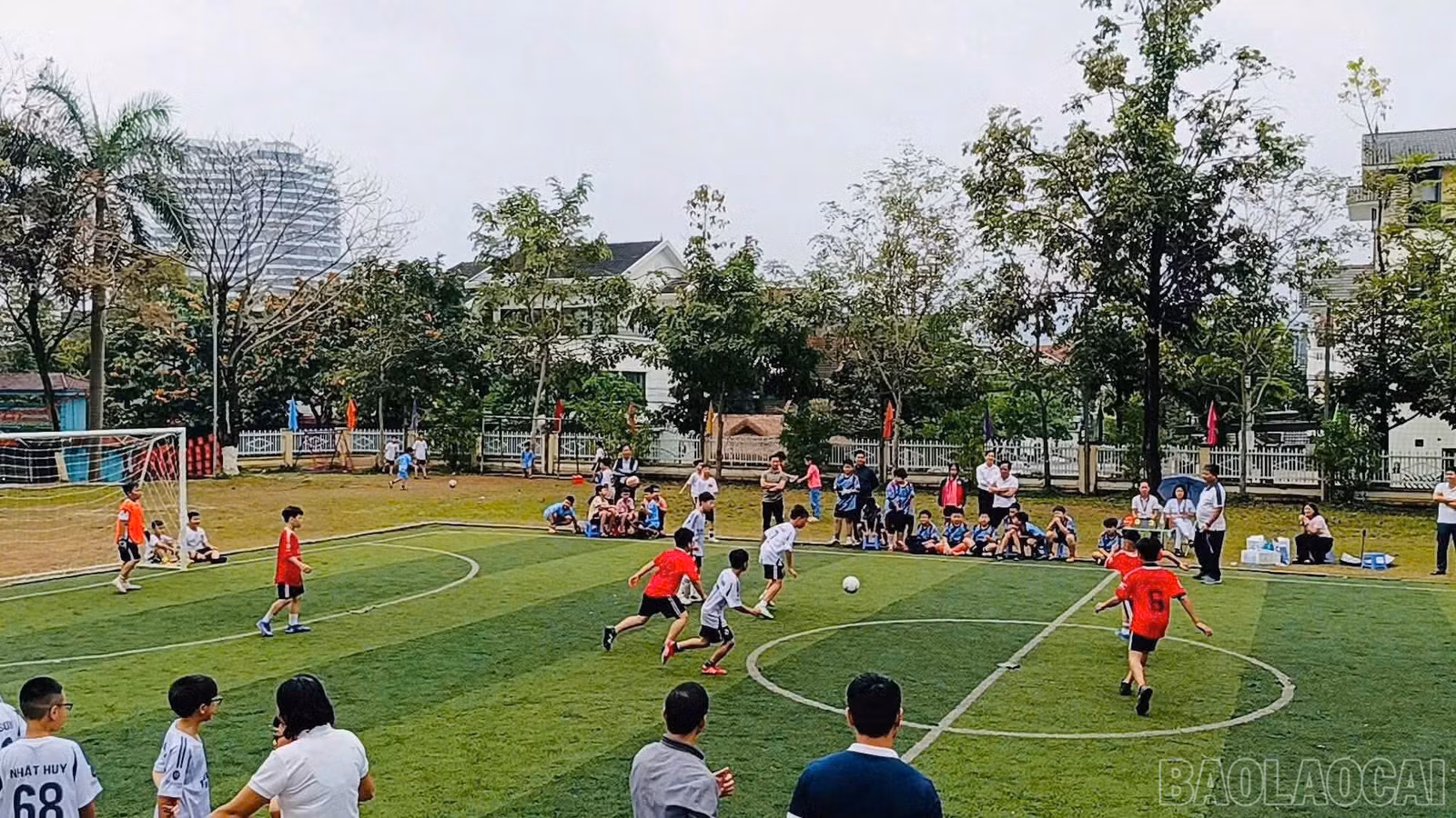 baolaocai-br_z7661421030987-d4b1c98b515450b0301bed9458d48b07.jpg