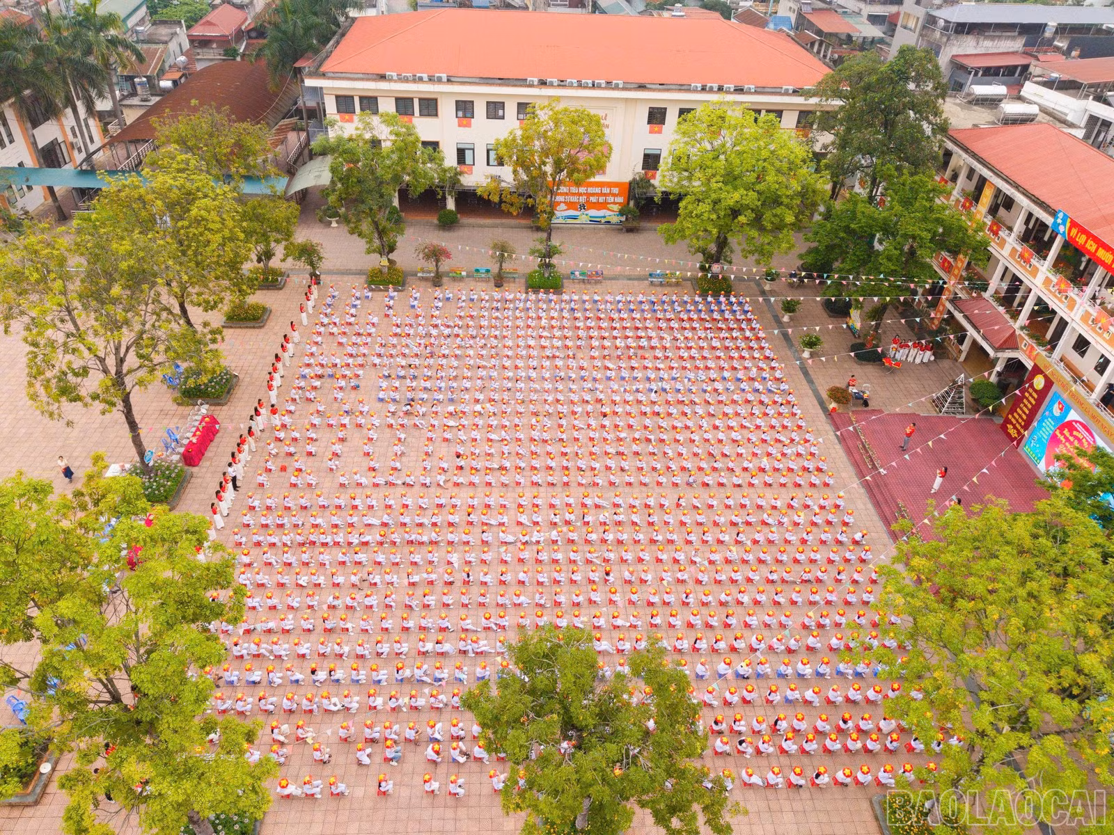 baolaocai-br_z7661421066694-f9a5b4eb8666e7a6e3d38e4313148164.jpg