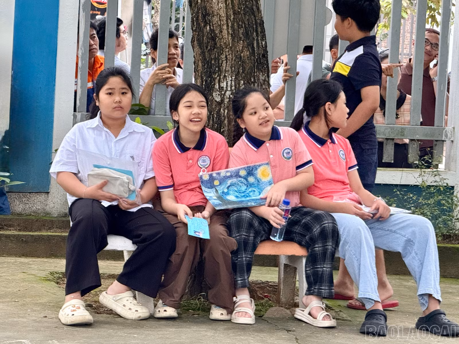 baolaocai-br_z6642827334725-a92e9eebc178bd131f63b2e6ae0984e0.jpg