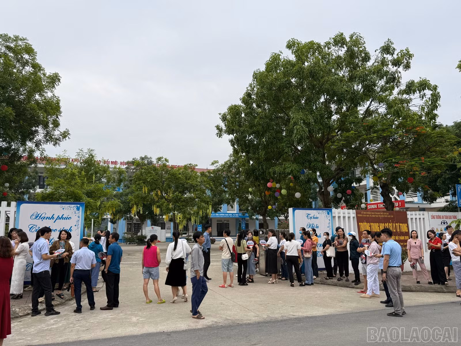 baolaocai-br_z6642827496368-f631fafd1f6bf3f512bdde303bb09d4d.jpg