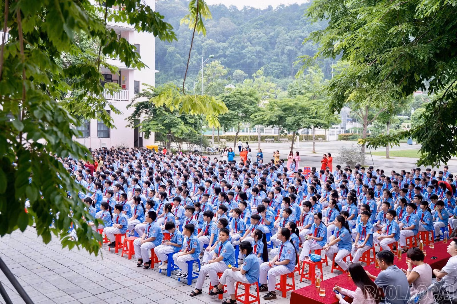 baolaocai-br_z6642848025034-07c4f476f9d50effc64ad820e63090a7.jpg