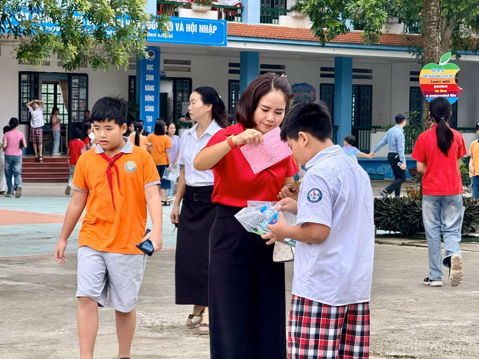 baolaocai-br_z6642827176668-32012b67112e393e917af96937a47cd2.jpg