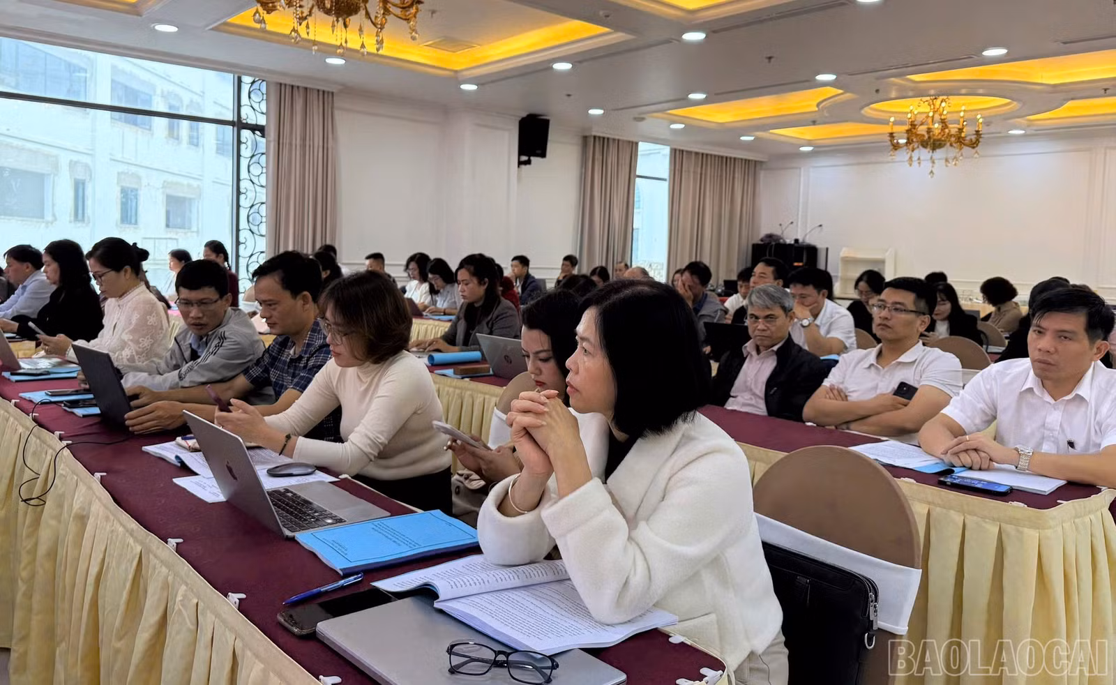 baolaocai-br_z6108896620668-0cc5397a110dc634856a56dc877342df.jpg