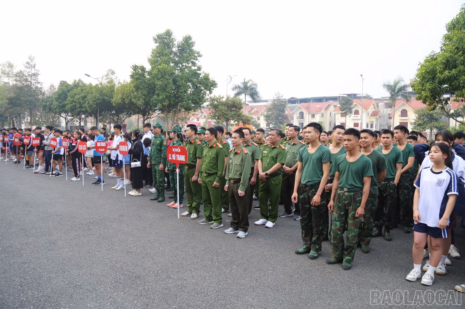 baolaocai-br_z6433262819011-abce6e7ac1597b3ee0ff5e95cb4ad647.jpg