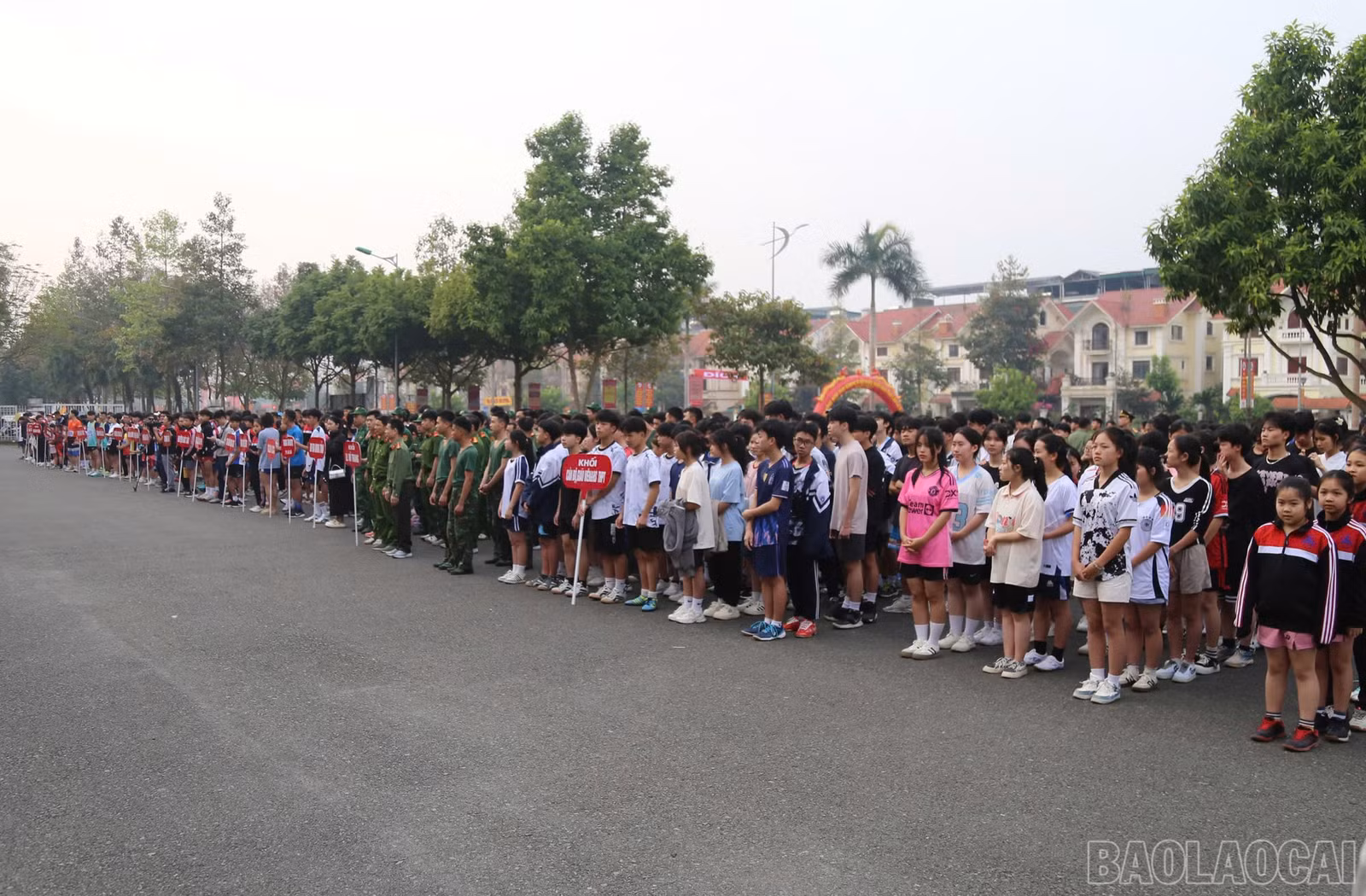 baolaocai-br_z6433262894921-724a9b06690dbe0284d81cf221ed0816.jpg