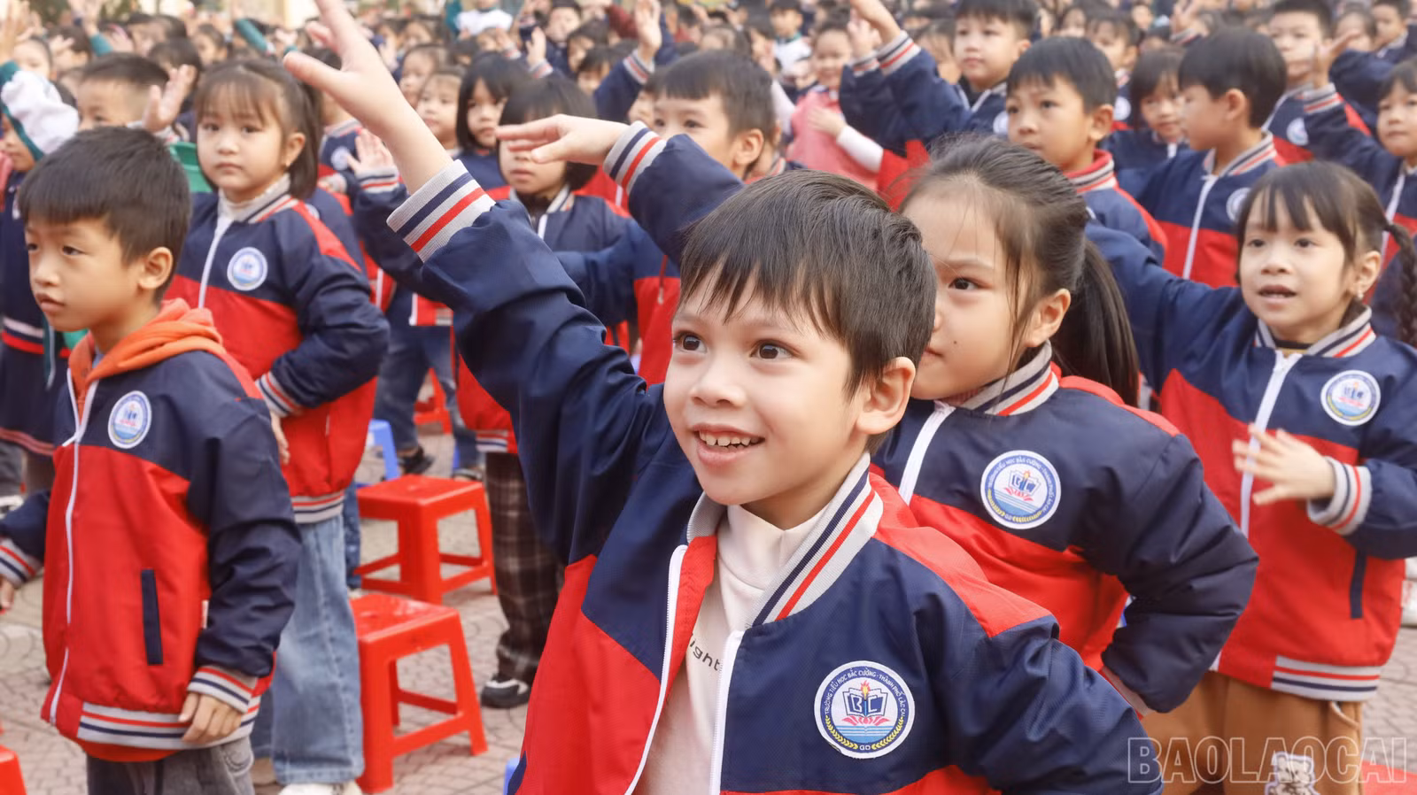 baolaocai-br_mg-8978.jpg
