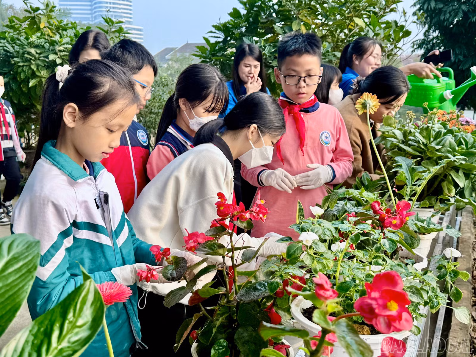 baolaocai-br_z6192433176419-c9a39c62853d741208f36fc0e2729f52.jpg