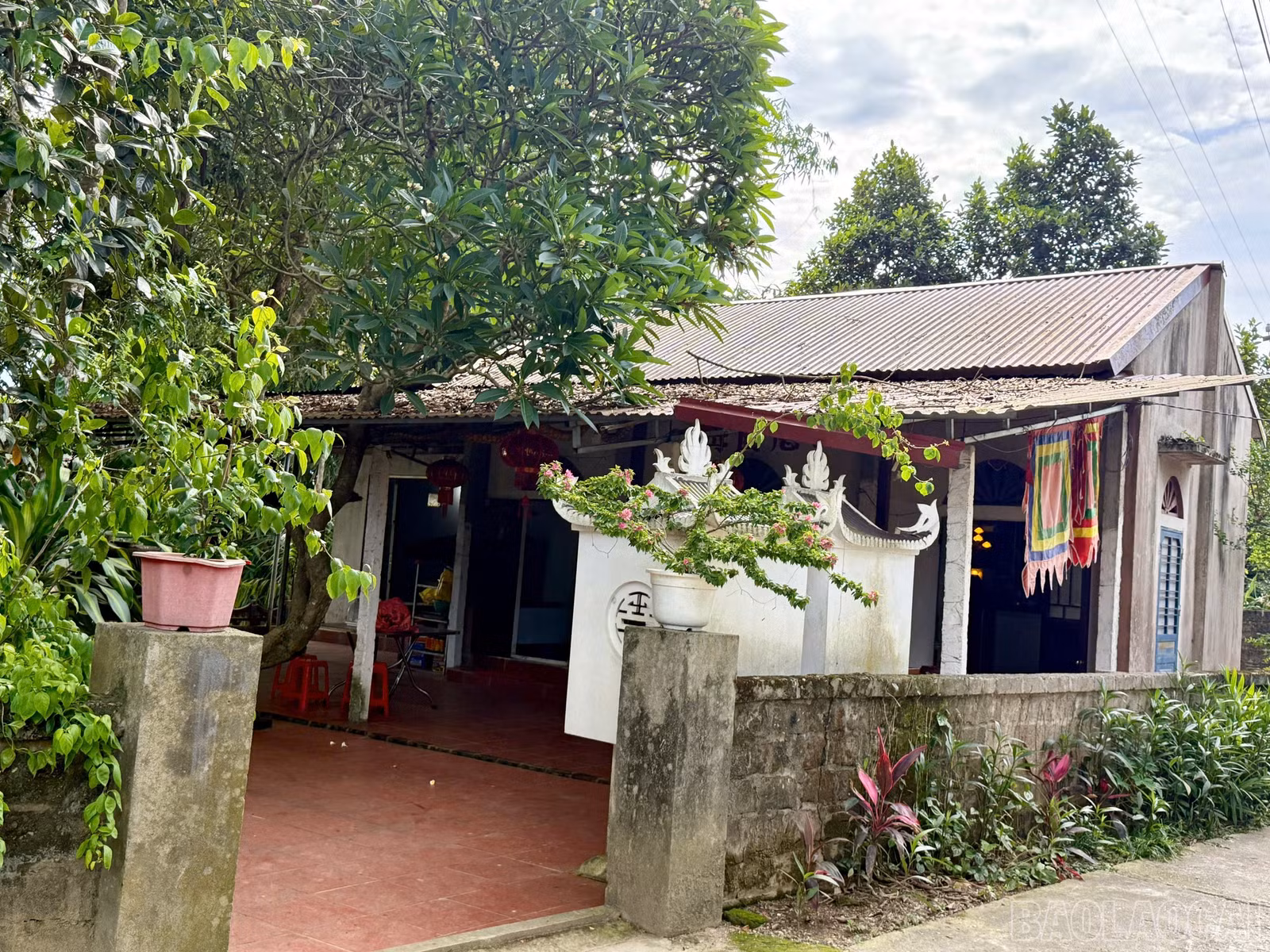 baolaocai-br_z6664857451019-3793d5267597299e1f34275ba8b8cbab.jpg