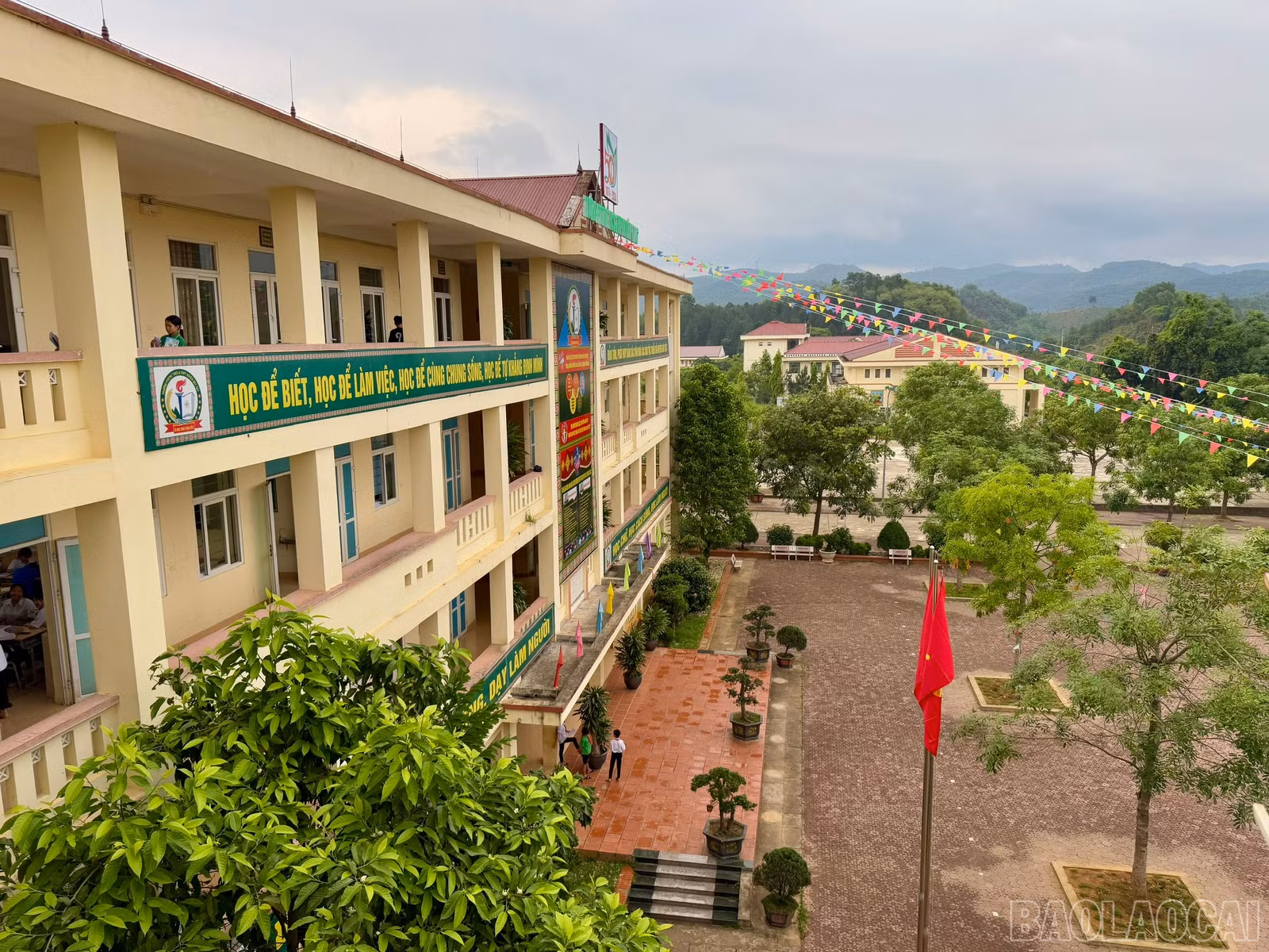 baolaocai-br_z6589987974281-e3322a3e341baa6159c44200998e241f.jpg