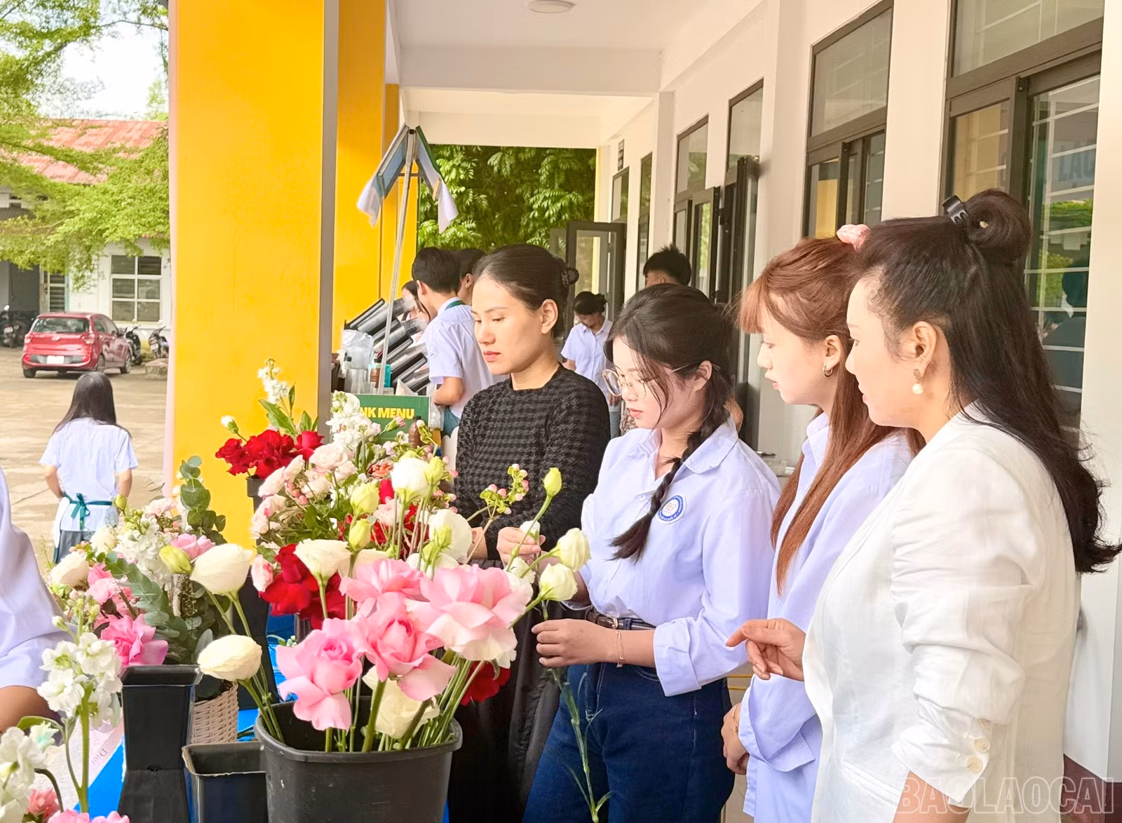 baolaocai-br_z7153965411213-2fdd519249fccdb7e5dabc9e146cfab0.jpg