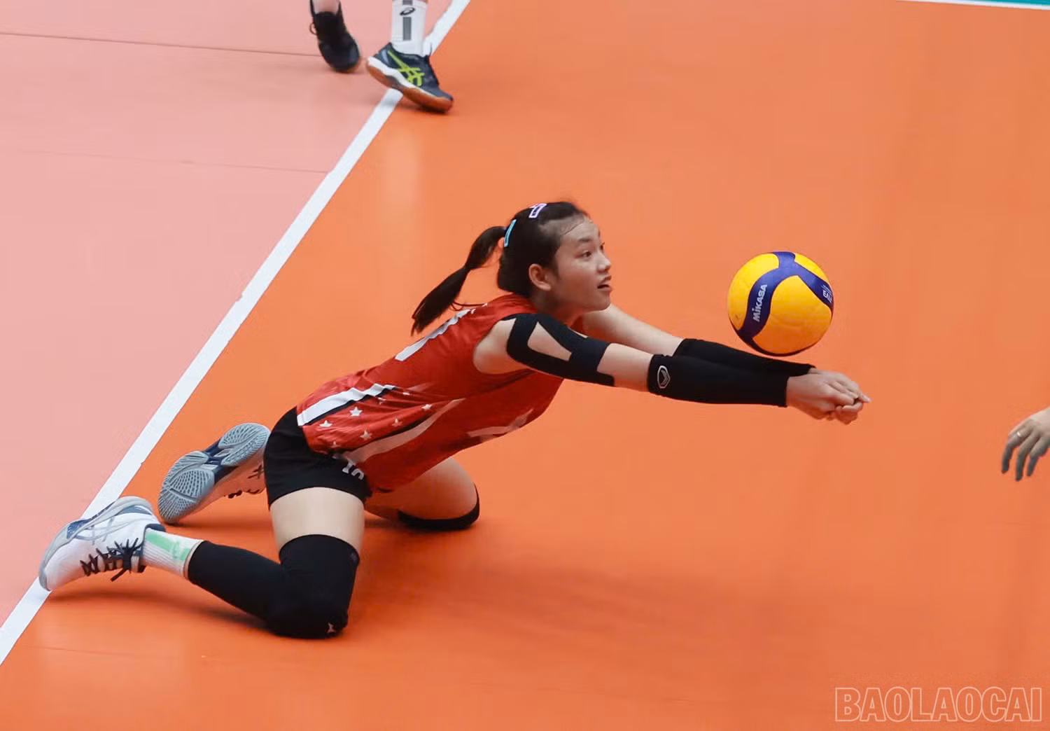 baolaocai-br_z6032501373188-3a65558b1bcb5a2ca5466f8e25c71662.jpg