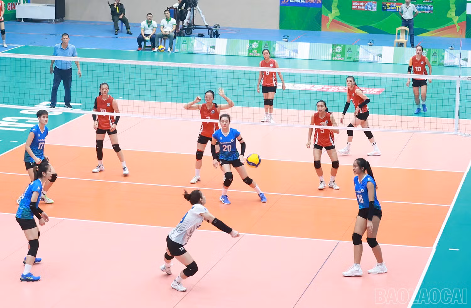 baolaocai-br_z6032501646302-a3ea64ef1b75f44f7cf6d57be7eb23ac.jpg